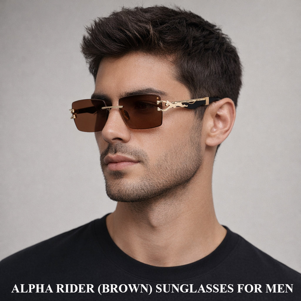 Brown Sentinel Wallet, Alpha Rider Brown Sunglasses & Professional Edge Brown Belt – Premium Gift Combo for Men